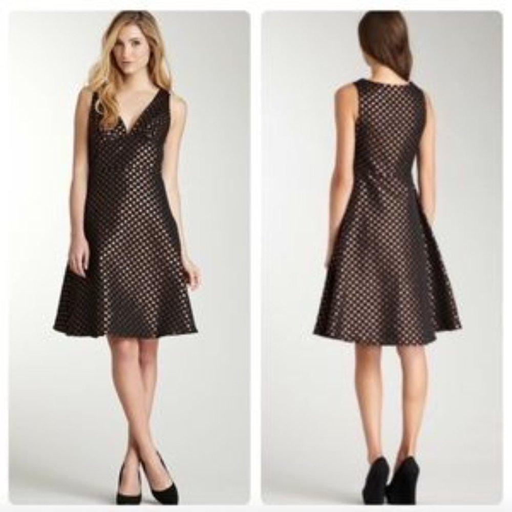 Eva Franco Collete Anthropologie fit n flare